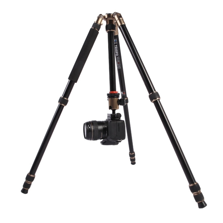 Triopo MT-2504C Adjustable Portable Aluminum Tripod with NB-1S Ball Head for Canon Nikon Sony DSLR Camera(Black) - free shipping - PMC TechLife - Order now!