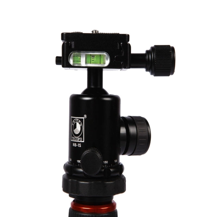 Triopo MT-2504C Adjustable Portable Aluminum Tripod with NB-1S Ball Head for Canon Nikon Sony DSLR Camera(Black) - free shipping - PMC TechLife - Order now!