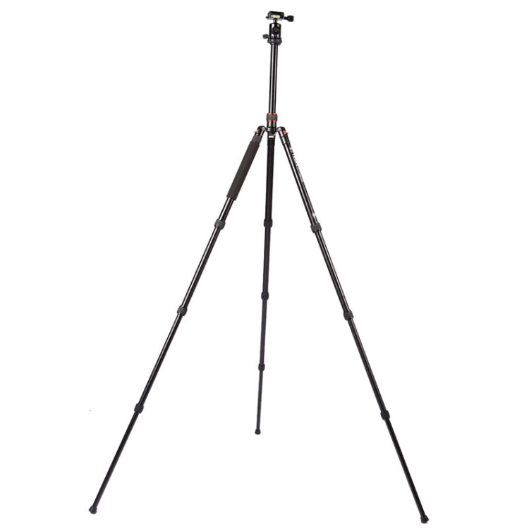 Triopo MT-2504C Adjustable Portable Aluminum Tripod (Gold) with NB-1S Ball Head (Black) for Canon Nikon Sony DSLR Camera - free shipping - PMC TechLife - Order now!