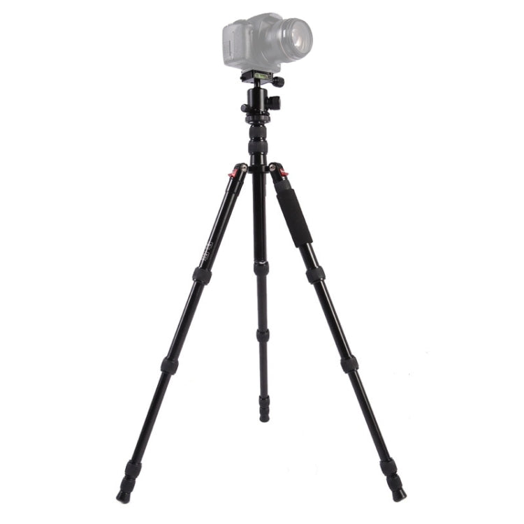 Triopo MT-2505C Adjustable Portable Aluminum Tripod with NB-1S Ball Head for Canon Nikon Sony DSLR Camera(Black) - free shipping - PMC TechLife - Order now!