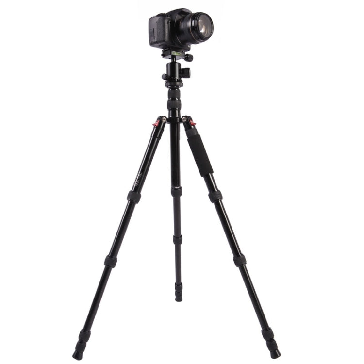 Triopo MT-2505C Adjustable Portable Aluminum Tripod with NB-1S Ball Head for Canon Nikon Sony DSLR Camera(Black) - free shipping - PMC TechLife - Order now!