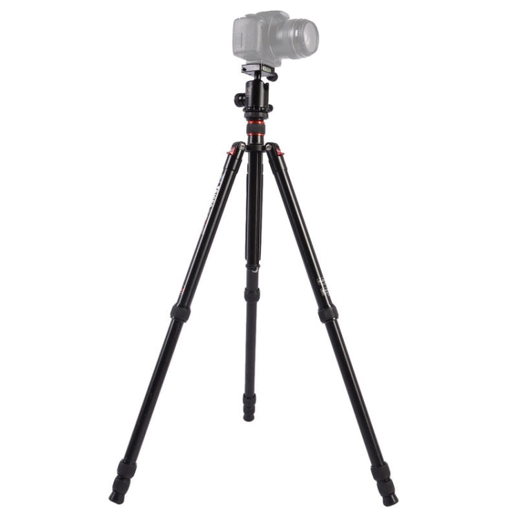 Triopo MT-2804C Adjustable Portable Aluminum Tripod with NB-2S Ball Head for Canon Nikon Sony DSLR Camera(Black) - free shipping - PMC TechLife - Order now!