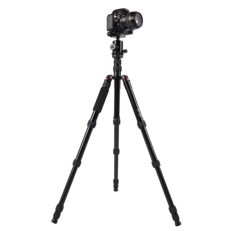 Triopo MT-2805C Adjustable Portable Aluminum Tripod (Gold) with NB-2S Ball Head (Black) for Canon Nikon Sony DSLR Camera - free shipping - PMC TechLife - Order now!