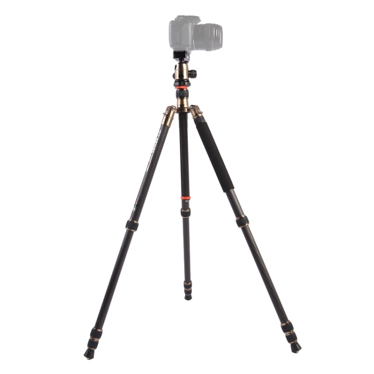 Triopo GT-2504X8.C Adjustable Portable Carbon Fiber Tripod with B-1 Aluminum Ball Head for Canon Nikon Sony DSLR Camera - free shipping - PMC TechLife - Order now!