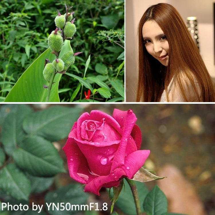 YONGNUO 50mm F1.8 Standard Prime Lens for Canon Camera - free shipping - PMC TechLife - Order now!