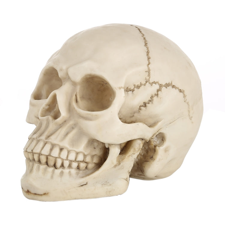 Skull Head Hallowmas Prop Gadget Display, Size: 19(L) x 13(W) x 14cm(H)(White) - Halloween Prop Decorations by PMC TechLife | Online Shopping South Africa | PMC TechLife | Buy Now Pay Later Mobicred
