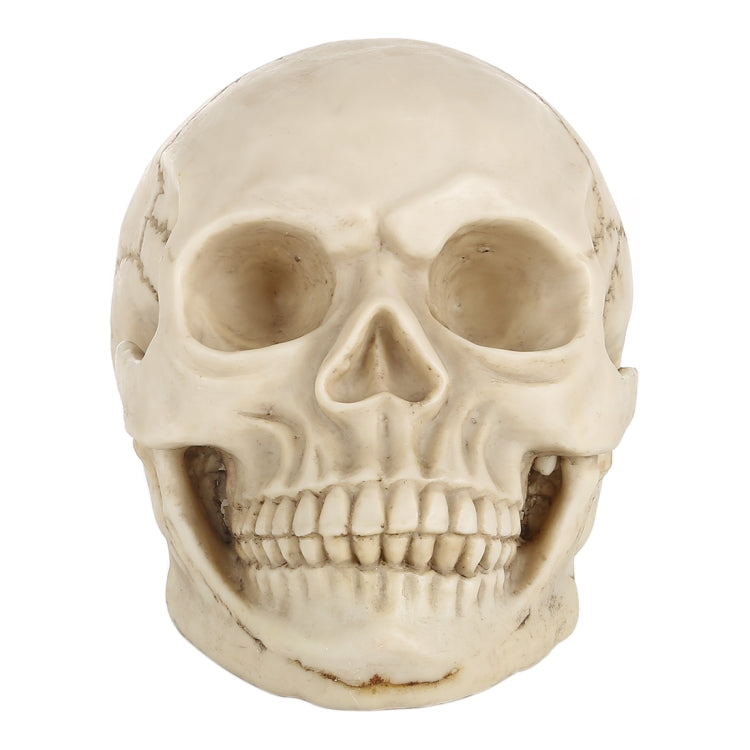 Skull Head Hallowmas Prop Gadget Display, Size: 19(L) x 13(W) x 14cm(H)(White) - Halloween Prop Decorations by PMC TechLife | Online Shopping South Africa | PMC TechLife | Buy Now Pay Later Mobicred