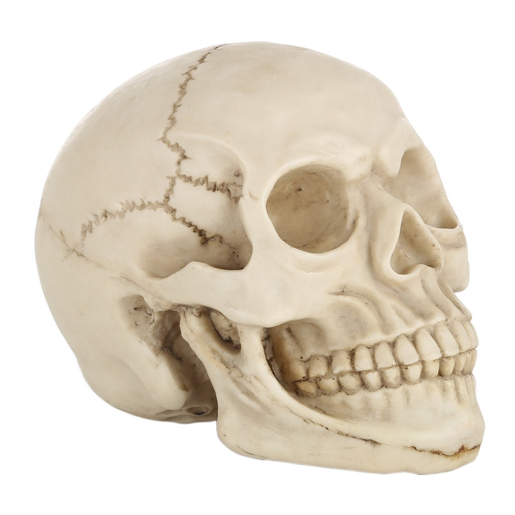 Skull Head Hallowmas Prop Gadget Display, Size: 19(L) x 13(W) x 14cm(H)(White) - Halloween Prop Decorations by PMC TechLife | Online Shopping South Africa | PMC TechLife | Buy Now Pay Later Mobicred