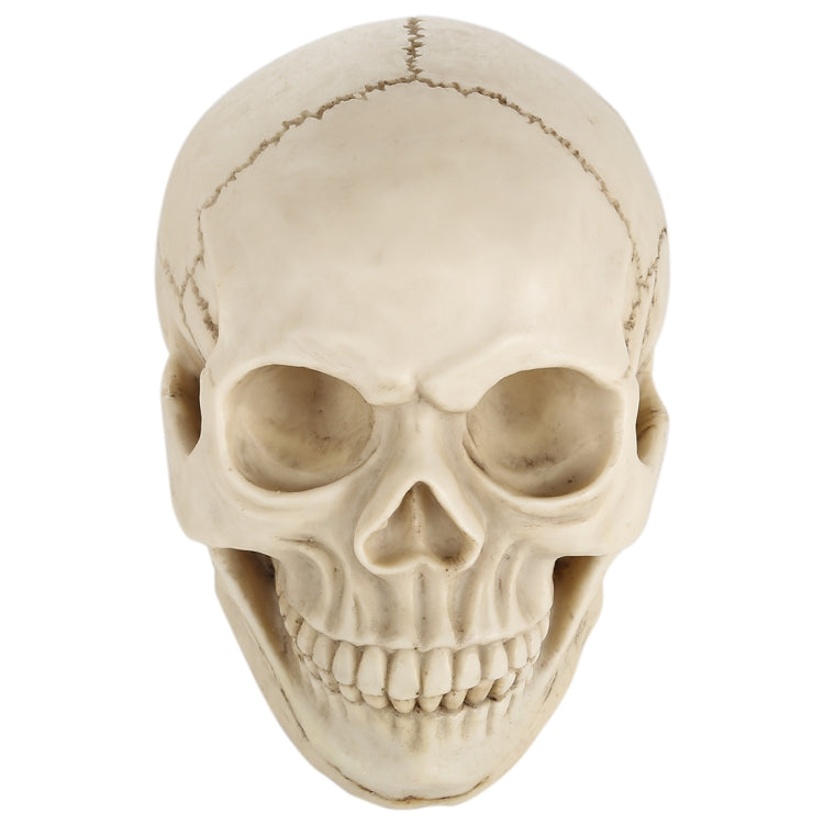 Skull Head Hallowmas Prop Gadget Display, Size: 19(L) x 13(W) x 14cm(H)(White) - Halloween Prop Decorations by PMC TechLife | Online Shopping South Africa | PMC TechLife | Buy Now Pay Later Mobicred