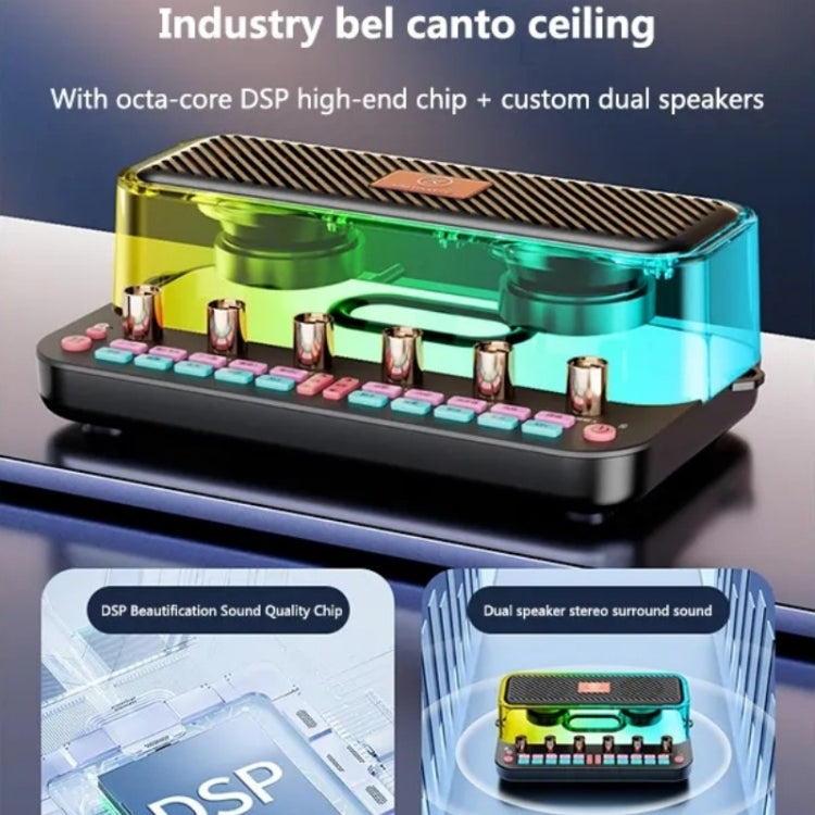 C18 Home Sound Card Karaoke Audio Integrated Microphone Equipment Full Set - free shipping - PMC TechLife - Order now!