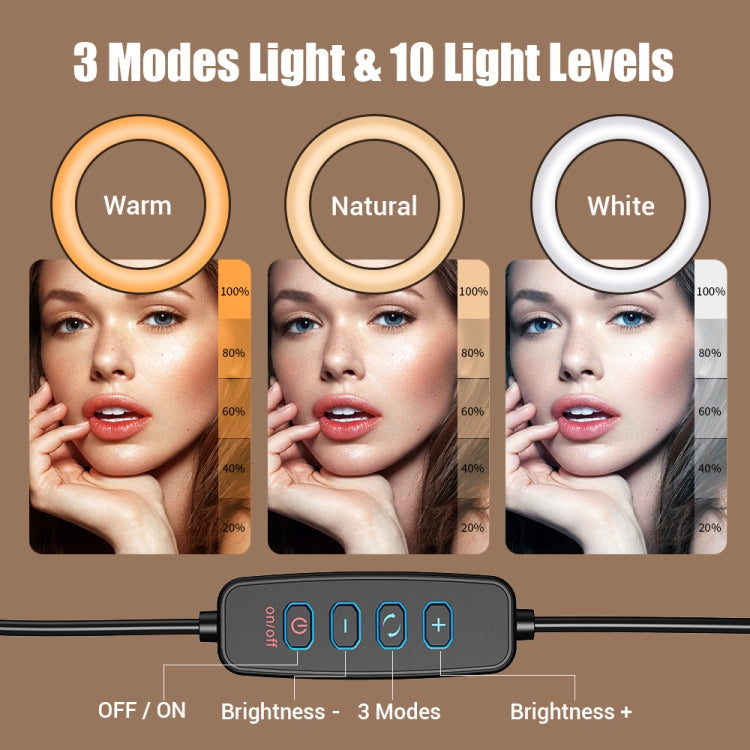 Apexel FL20 10 Inch LED Ring Light Foldable Metal Swing Arm Desk Lamp with Stand & Phone Holder - free shipping - PMC Jewellery - Order now!