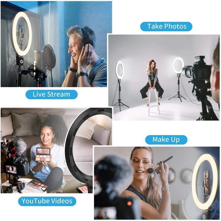 JMARY FM-12R Photography LED Fill Light 12-inch Video Recording Ring Light(EU Plug) - free shipping - PMC TechLife - Order now!