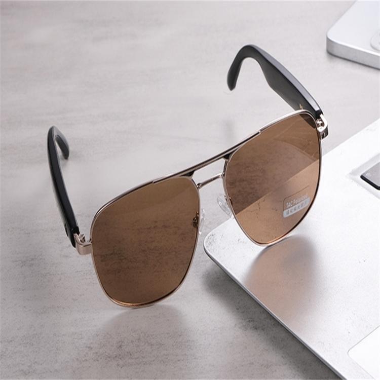 GS02 Smart Glasses, Support Voice Assistant / Bluetooth Call / Remote Control Photography(Brown) - free shipping - PMC TechLife - Order now!