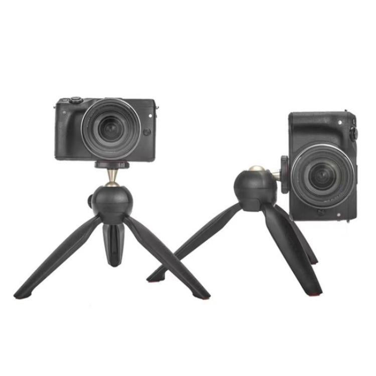 SYA0028463_1.jpg@76a146f3e873f14a476a13a181aa6520