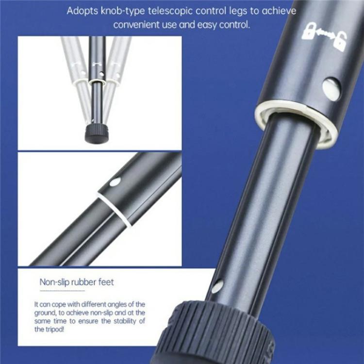 SYA0028717_3.jpg@76532c7371032384c15c242f0d4ec8da