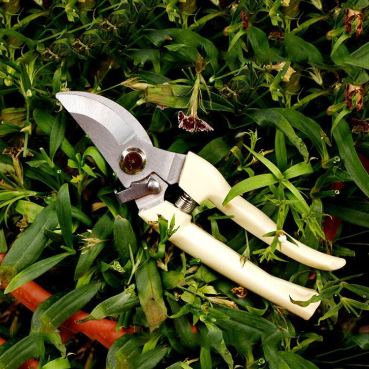 Garden Tools Stainless Steel Pruning Shears Fruit Tree Scissors Garden Branch Shears(Elbow) - Garden Hand Tools by PMC TechLife | Online Shopping South Africa | PMC TechLife