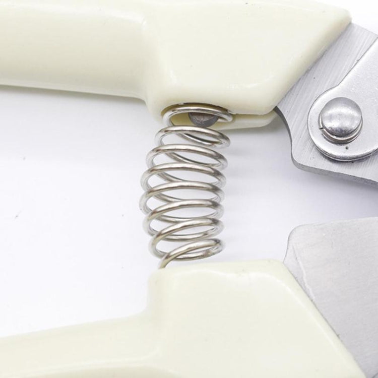 Garden Tools Stainless Steel Pruning Shears Fruit Tree Scissors Garden Branch Shears(Elbow) - Garden Hand Tools by PMC TechLife | Online Shopping South Africa | PMC TechLife