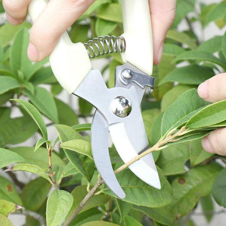 Garden Tools Stainless Steel Pruning Shears Fruit Tree Scissors Garden Branch Shears(Elbow) - Garden Hand Tools by PMC TechLife | Online Shopping South Africa | PMC TechLife