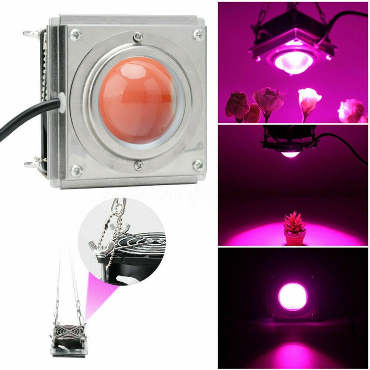 COB Plant Growth Light LED Vegetable Planting Succulent Light, Light:Full Spectrum(EU Plug 220V) - LED Grow Lights by PMc TechLife | Online Shopping South Africa | PMc TechLife | Buy Now Pay Later Mobicred