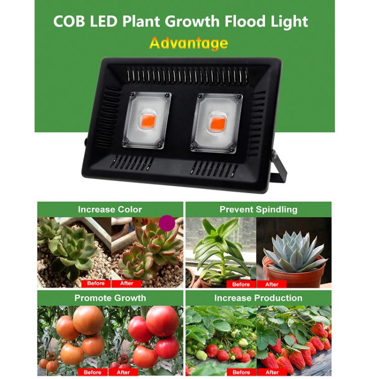 100W Ultra-Thin LED Plant Light, Full Spectrum COB Growth Light, Vegetable, Fruit & Flower Greenhouse Fill Light Without Plug - LED Grow Lights by PMc TechLife | Online Shopping South Africa | PMc TechLife | Buy Now Pay Later Mobicred