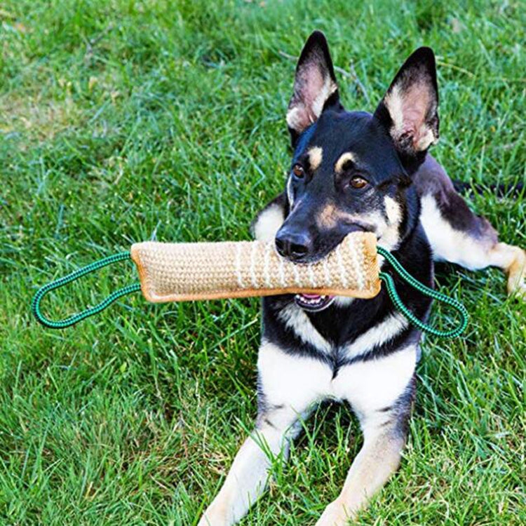 Dog Training Hemp Bite Stick Dog Bite Stick Dog Training Supplies(A1) - free shipping - PMC TechLife - Order now!
