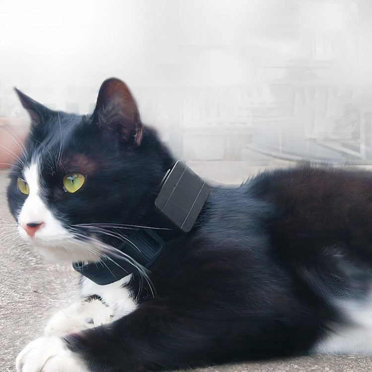 CJ230 Pet Locator Micro Mini GPS Locator - free shipping - PMC TechLife - Order now!