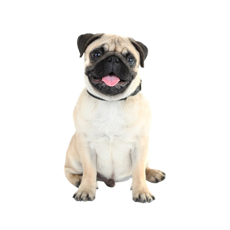 Style 5 Large 3D Simulation Dog Car Stickers Rain-Proof Sunscreen Car Sticker Scratch Shaving Decoration Stickers - Decorative Sticker by PMC TechLife | Online Shopping South Africa | PMC TechLife | Buy Now Pay Later Mobicred