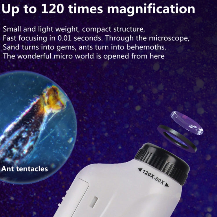 Children Handheld Portable Laboratory Equipment Microscope Toys, Colour: Lite + Specimen (Blue) - free shipping - PMC TechLife - Order now!