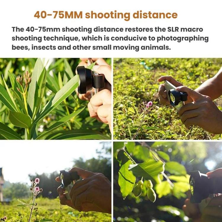 TBD06024300_B5.jpg@1d29a9d6ee574ac6dbd073cf54b89ae0