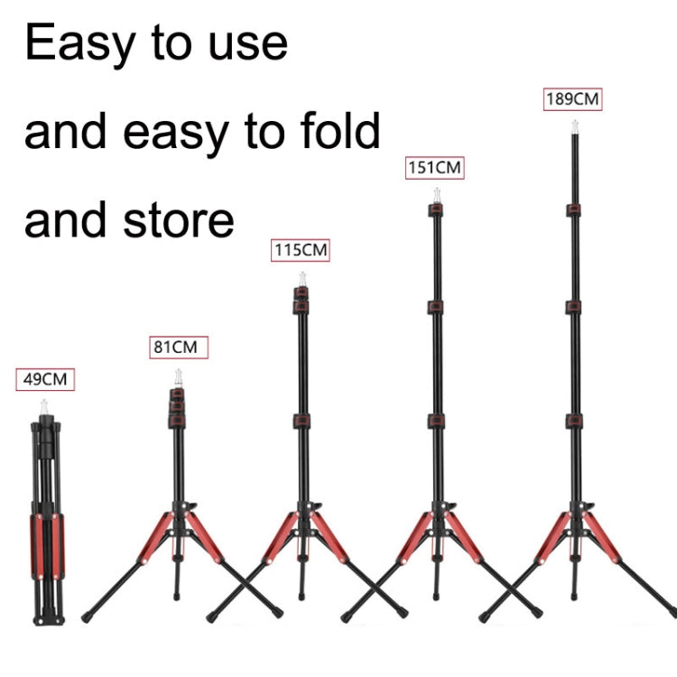 Aluminum Alloy Folding Mobile Phone Stand Live Selfie Floor Stand(Grey) - Stand by PMC TechLife | Online Shopping South Africa | PMC TechLife | Buy Now Pay Later Mobicred