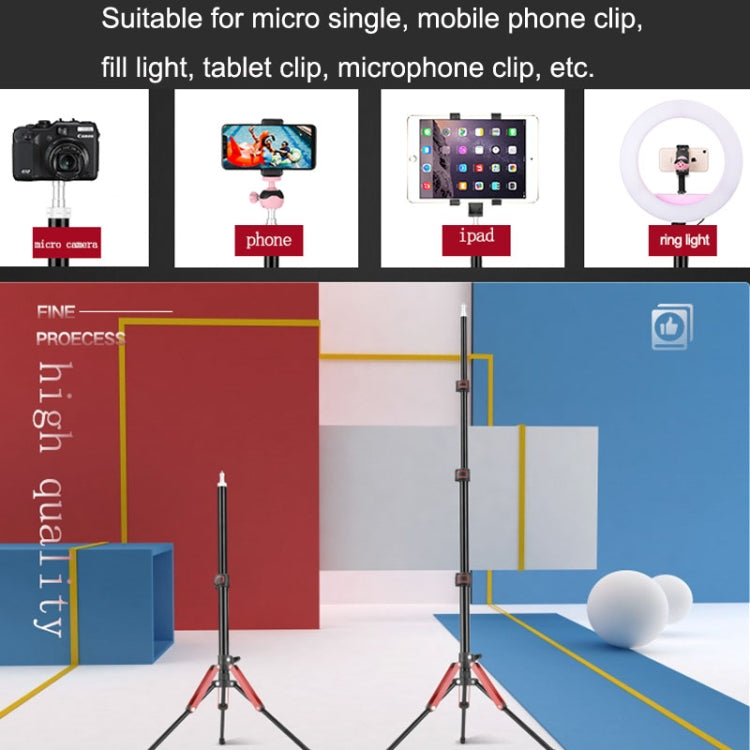 Aluminum Alloy Folding Mobile Phone Stand Live Selfie Floor Stand(Grey) - Stand by PMC TechLife | Online Shopping South Africa | PMC TechLife | Buy Now Pay Later Mobicred