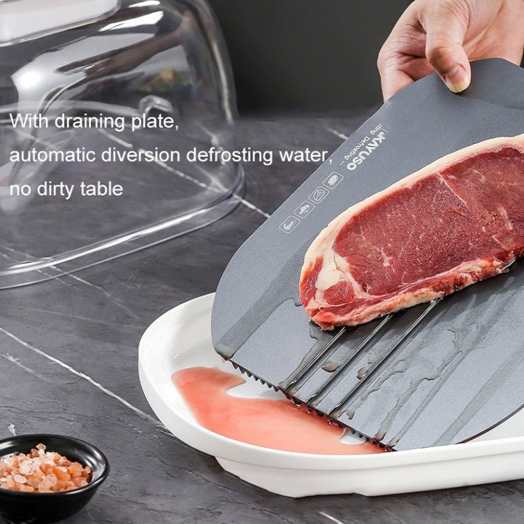 Frozen Food Quick Thaw Tray Thaw Plate(Gray) - free shipping - PMC TechLife - Order now!