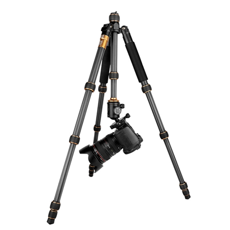 QingZhuangShiDai Q666C Portable Travel Photography Ball Head SLR Camera Carbon Fiber Tripod(Black) - free shipping - PMC TechLife - Order now!