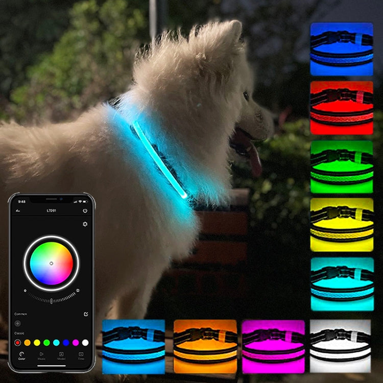 LED Rechargeable Wear-resistant and Waterproof Pet Lighting Collar, Size: M(Black) - Collars by PMC TechLife | Online Shopping South Africa | PMC TechLife | Buy Now Pay Later Mobicred