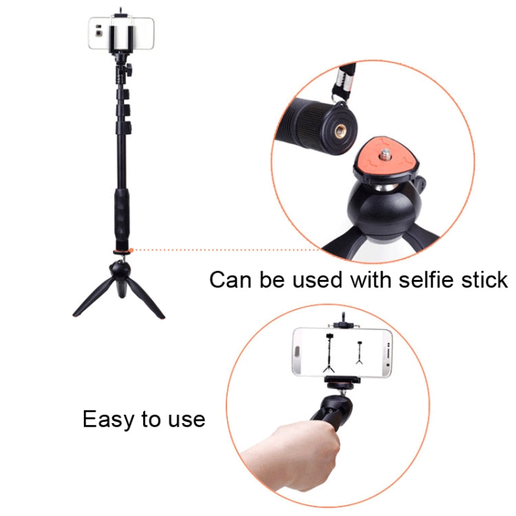 YUNTENG 228 Mini Tripod Camera Desktop Live Bracket Mobile Phone Selfie Frame(Black) - free shipping - PMC TechLife - Order now!
