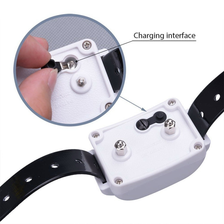 KD-661 500m Wireless Electric Dog Pet Fence Shock Collar,Spec: For One Dog(AU Plug) - free shipping - PMC TechLife - Order now!