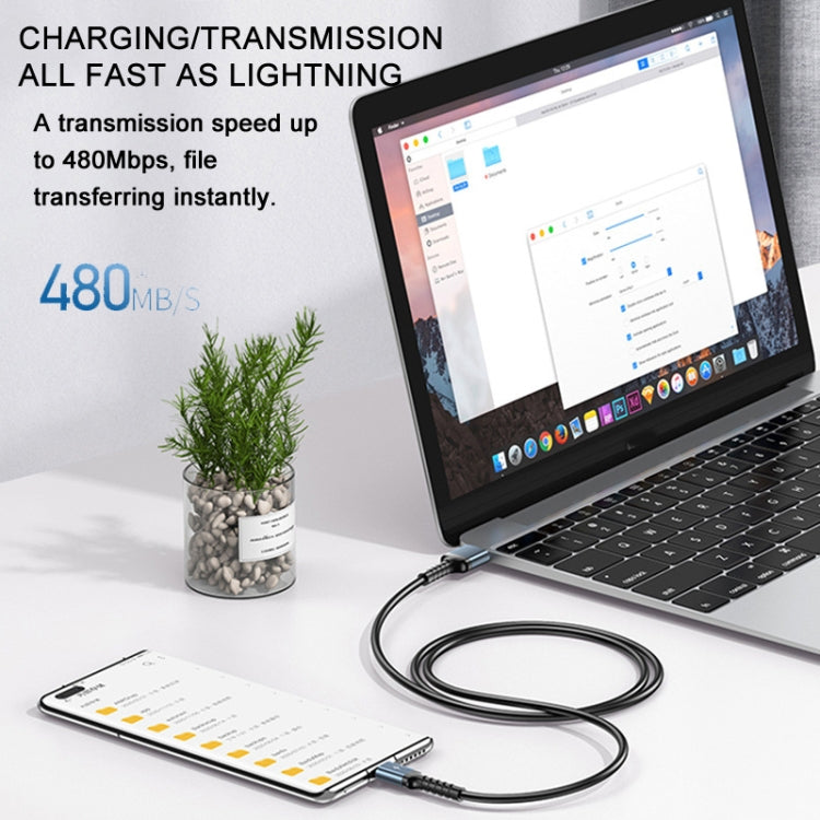 REMAX RC-C008 USB To 8 Pin 2.4A TPE Soft Anti-breakage Data Cable,Length 1m(Black) - free shipping - PMC Jewellery - Order now!