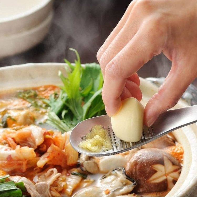 KS1001 Thicken Stainless Steel Ginger Garlic Vegetable Puree Grinder, Specification: Spoon - Stirrer & Squeezer by PMC TechLife | Online Shopping South Africa | PMC TechLife | Buy Now Pay Later Mobicred