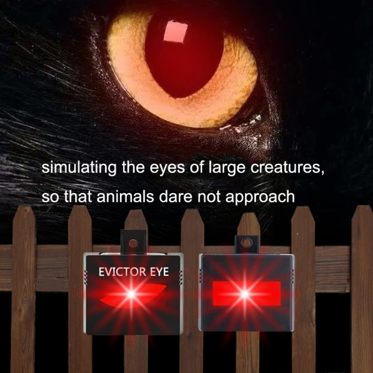 SK191 1pc Solar Farm Wild Eagle Eye Animal Repeller - Outdoor Insect Repellent by PMC TechLife | Online Shopping South Africa | PMC TechLife | Buy Now Pay Later Mobicred