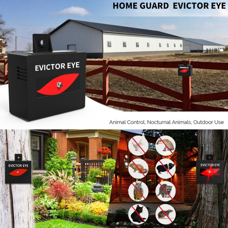 SK191 1pc Solar Farm Wild Eagle Eye Animal Repeller - Outdoor Insect Repellent by PMC TechLife | Online Shopping South Africa | PMC TechLife | Buy Now Pay Later Mobicred