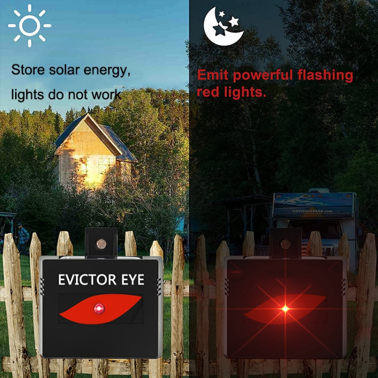 SK191 2pcs Solar Farm Wild Eagle Eye Animal Repeller - Outdoor Insect Repellent by PMC TechLife | Online Shopping South Africa | PMC TechLife | Buy Now Pay Later Mobicred