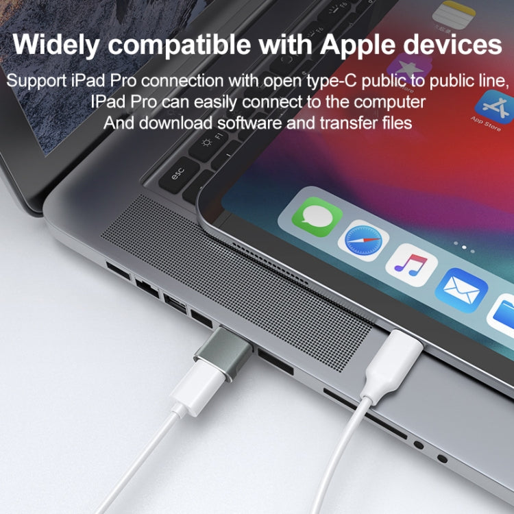 USB 2.0 Male To USB-C / Type-C Female Adapter, Support Charging & Transmission Data(Silver) - free shipping - PMC TechLife - Order now!