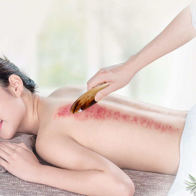 Small Horn Tube With Round Dot Scraping Acupuncture Stick, Color Random Delivery - free shipping - PMC TechLife - Order now!