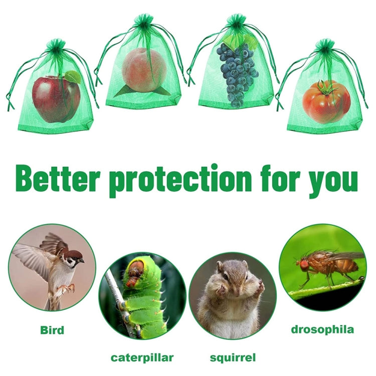 100pcs /Pack  Fruit Protection Bag Anti-Insect And Anti-Bird Net Bag 13 x 18cm(Black) - Plant Support & Care by PMC TechLife | Online Shopping South Africa | PMC TechLife | Buy Now Pay Later Mobicred
