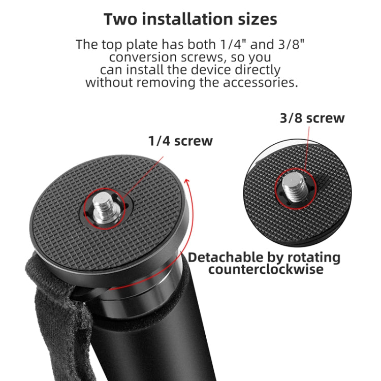 BEXIN P406CF-S Carbon Fiber Monopod Travel Shooting Mobile Phone Live Selfie Bracket Retractable Portable Monopod - Monopods by BEXIN | Online Shopping South Africa | PMC TechLife | Buy Now Pay Later Mobicred