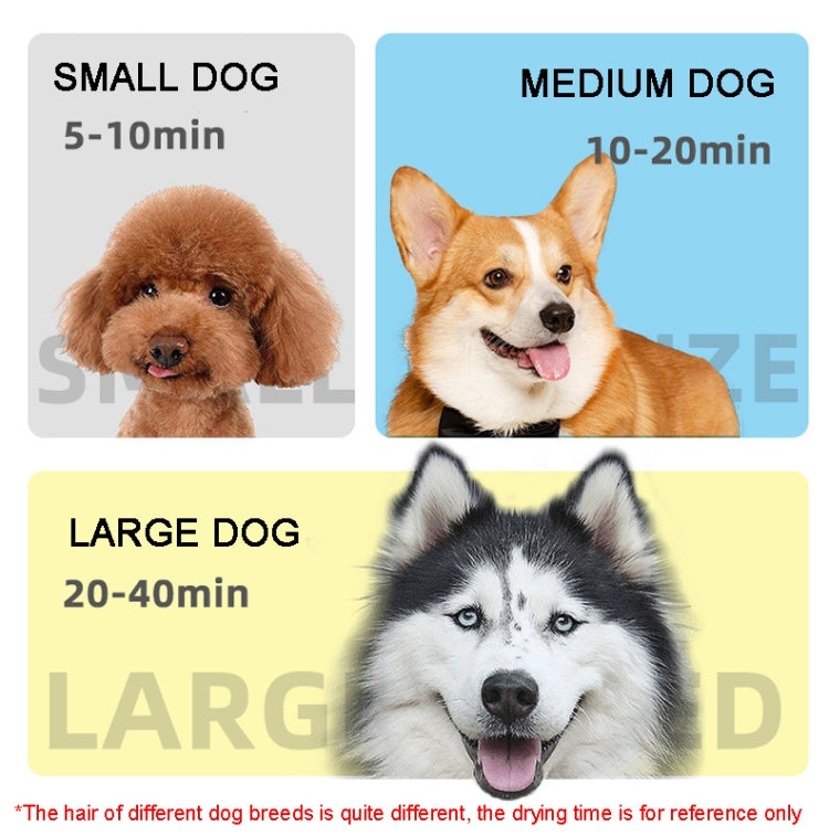 2100W Dog Dryer Stepless Speed Pet Hair Blaster Pet Water Blower 220V AU Plug(Black and White) - Blower & Drying by PMC TechLife | Online Shopping South Africa | PMC TechLife | Buy Now Pay Later Mobicred