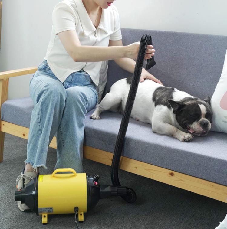 2100W Dog Dryer Stepless Speed Pet Hair Blaster With Vacuum Cleaner 220V UK Plug(Pure Pink) - free shipping - PMC TechLife - Order now!