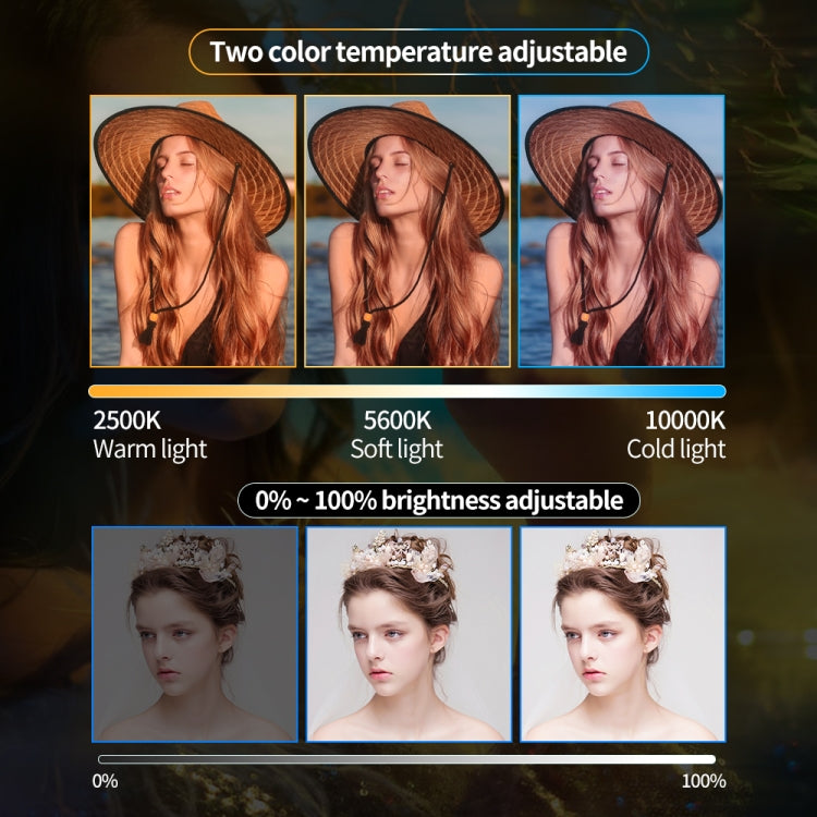 Pixel P80 60W 2600-10000K 542 LEDs Photography Fill Light Support Mobile APP Remote Control,US Plug - free shipping - PMC TechLife - Order now!