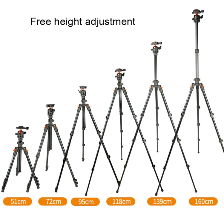 TRIOPO K268+KJ36 DSLR Tripod Photography Stand Portable Cell Phone Micro SLR Tripod - free shipping - PMC TechLife - Order now!