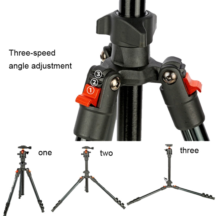 TRIOPO K268+KJ36 DSLR Tripod Photography Stand Portable Cell Phone Micro SLR Tripod - free shipping - PMC TechLife - Order now!
